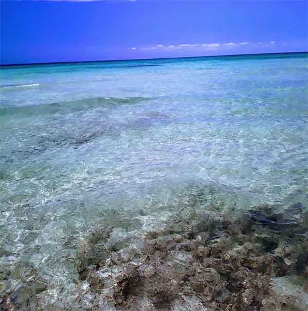 La Spiaggia Di Vendicari